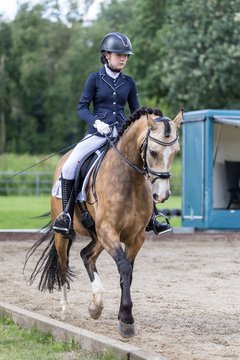 Bild 429 - Pony Akademie Turnier